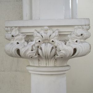 IMG 0239
