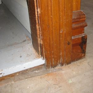IMG 7104