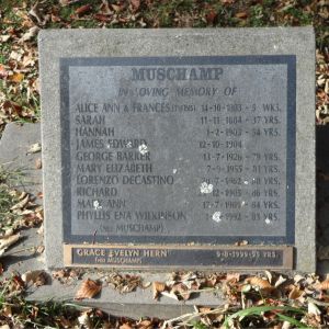 Muschamp Steen